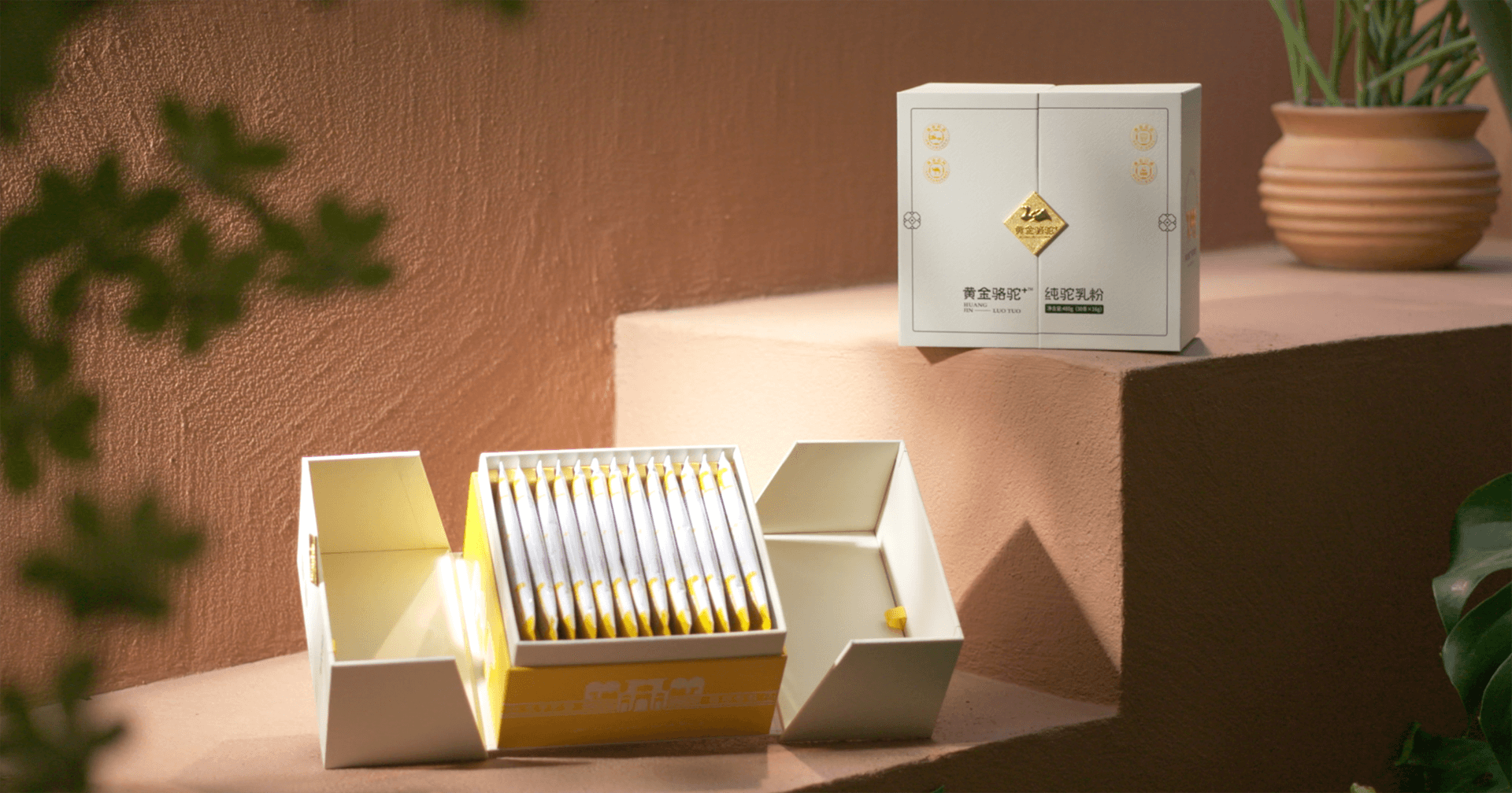 定位小众高端乳粉，J9九游会老哥俱乐部推出驼奶品牌“黄金骆驼+”，角逐乳品新市场！